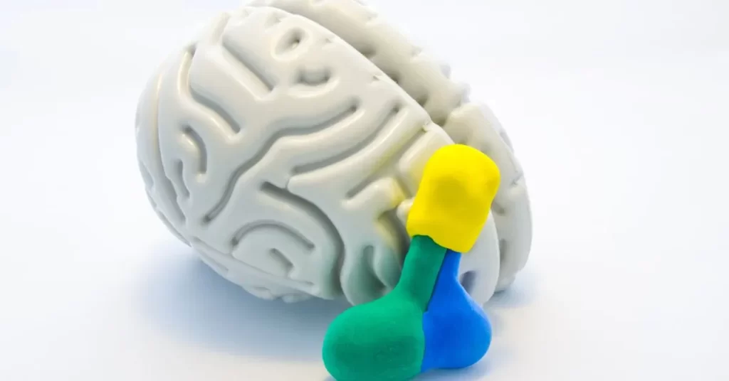 Prolaktyna u mężczyzn - model przysadki mózgową, która produkuje ten ważny dla męskiego zdrowia hormon