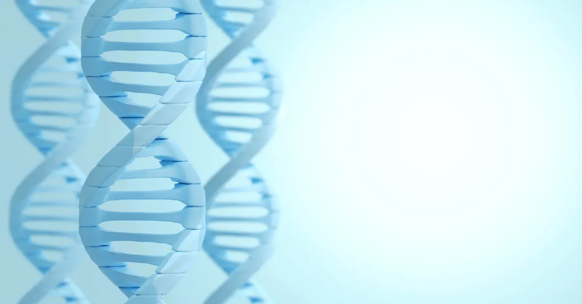 Nić dna - nawiązanie do genów