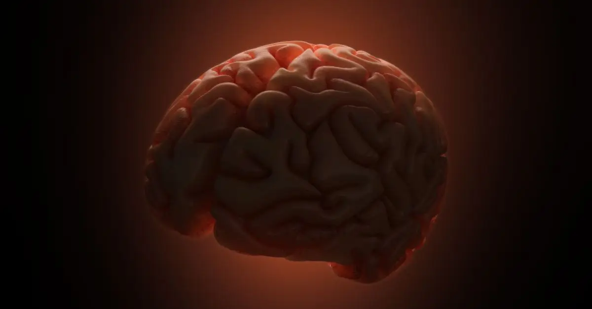 Mózg w czerwonym świetle reprezentujący męską siłę mentalną